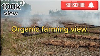 Organic farming view  New idea for farmers [upl. by Laws71]