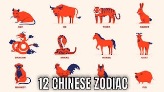 The 12 Chinese Zodiac Signs amp What They Mean for Your Personality And The Year Ahead  Ziggy Natural [upl. by Lledor]