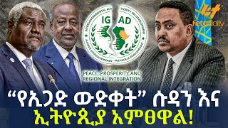 Ethiopia  “የኢጋድ ውድቀት” ሱዳን እና ኢትዮጲያ አምፀዋል [upl. by Mezoff646]