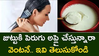 జుట్టుకి పెరుగు అప్లై చేస్తున్నారా  Benefits of Curd for Hair  Telugu lifestyle kitchen [upl. by Oly]