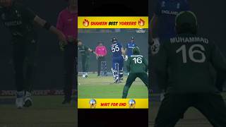 Shaheen Afridi 5 Best Yorkers 🔥 [upl. by Ranice]