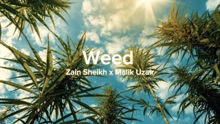 Weed  Zain Sheikh x Malik Uzair [upl. by Leggat]