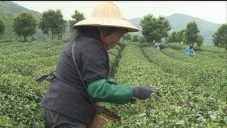 La agricultura sembrar para el futuro [upl. by Boehike633]