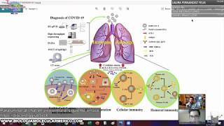 Inmunología molecular de COVID19 la tormenta de citocinas promueve una reacción inflamatoria extrema [upl. by Plafker]