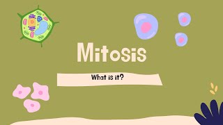 Mitosis process explained 2D drawing animation [upl. by Atinihc118]