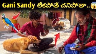 Gani Sandy లేకపోతే చనిపోతా😱  మాంత్రికుడు House కి వచ్చాడు  సమాధి కట్టాలంట…🥺  80 years [upl. by Petras745]