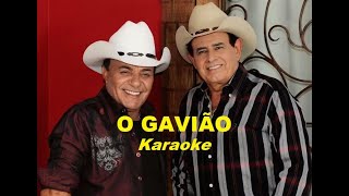 Gino amp Geno  O Gavião Karaoke [upl. by Dlawso528]