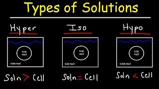 Hypertonic Hypotonic and Isotonic Solutions [upl. by Anegue]