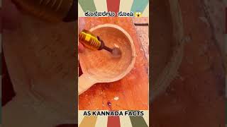 Bamboos Spoon Making Fact Video  kannada facts karnataka amazing youtubeshorts trendingshorts [upl. by Mohandis]