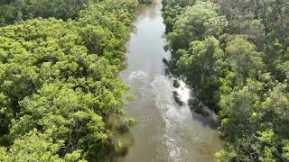 Tingalpa Creek A different view [upl. by Olenka]