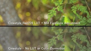 Canon 80D with Cinestyle  REC 709 LUT Final Cut Pro Tutorial [upl. by Royall]