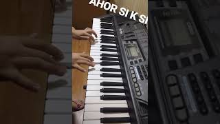 Amorfoda piano [upl. by Kristina]