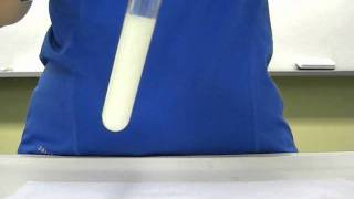 Iodide ion test [upl. by Martguerita]