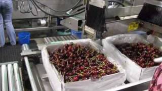 View Fresh Packing Line amp Sealing Machines Orchard View Farms [upl. by Ennaxor957]