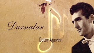 Oqtay Ağayev — Durnalar Rəsmi Audio [upl. by Enirehtac]