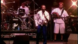 Toots amp the Mayals  5446 thats my number HQ Live [upl. by Annwahsal24]