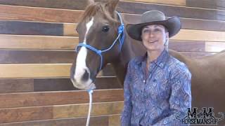 Knot to Tie on Rope Halter and Lead  Handy Horseman Tips By M amp M Horsemanship [upl. by Enilamme731]