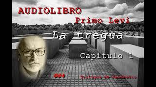 La Tregua  Primo Levi  AudioLibro  Capítulo 1  El deshielo [upl. by Garris]