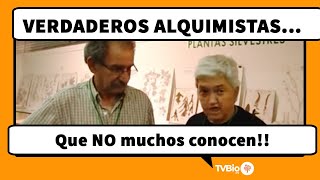 La botica de la abuela  REMEDIOS CASEROS para la tos  JARABE CASERO [upl. by Nomyaw]