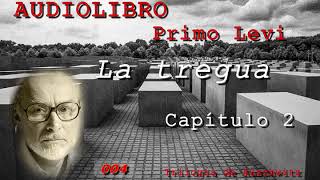 La Tregua  Primo Levi  AudioLibro  Capítulo 2  El Campo Grande [upl. by Mccahill]