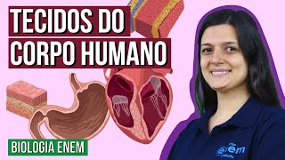 TECIDOS DO CORPO HUMANO  Resumo de Biologia Enem Professora Cláudia Aguiar [upl. by Leupold76]