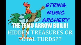 TEMU Arrows  Treasures or TURDS [upl. by Joaquin587]