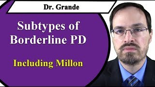 Subtypes of Borderline Personality Disorder Millon amp Others [upl. by Alton876]