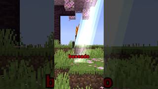 EL SPEEDRUN BANEADO DE MINECRAFT [upl. by Lraep]