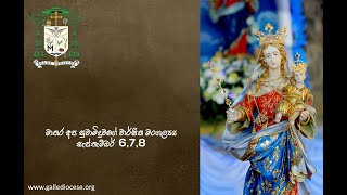 Diocese of Galle Sri Lanka 117th Annual Feast of the National Shrine of Our Lady of Matara [upl. by Adaran291]