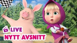 🔴 LIVE Masha och Björnen 🐻👧 Nytt avsnitt 🚲 Det stora skogsloppet 🏁 Masha and The Bear [upl. by Engud]