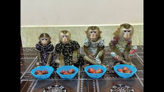 Smarty 4 Siblings Sit Meditating Very Calmly Waiting Mom To Come amp Join Them Fruity Dessert [upl. by Godfree]