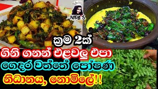 මුරුංගා කොළ පෝෂණීයව හදන ක්‍රම දෙකක්  moringa leaves recipe  murunga kola thel dala  කරි වර්ග 2ක් [upl. by Nwahsirhc867]