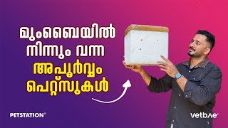 അയ്യേ ഇതൊക്കെയാണോ പാർസ്സൽ ആയി വന്ന പെറ്റ്സ്‌ [upl. by Tumer]