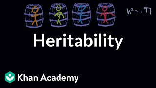 Heritability  Behavior  MCAT  Khan Academy [upl. by Ewold]