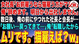 【スカッと】女社長「お前雇うくらいなら猫雇ったほうがマシw」俺「じゃあ辞めます。明日から出社しません」数日後、俺の前にやつれた社長と会長が「お願い…戻ってきて…」俺「転職したのでムリです。」 [upl. by Andromede]