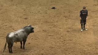 The Beast Pit American Freestyle Bullfighting  Knox Dunn  2019 Albuquerque [upl. by Ailimaj975]