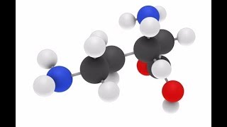 Ornithine  Liver Detox Nitrogen Ammonia Growth Hormone Fat Metabolism Immune System Muscle [upl. by Eenal]