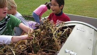 How to Use a Compost Tumbler [upl. by Gunzburg841]