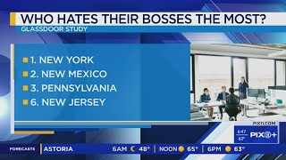 New Yorkers hate their bosses the most Glassdoor [upl. by Najar729]