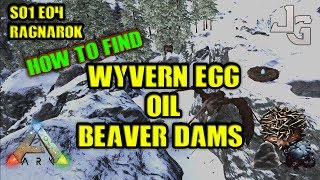 ARK Ragnarok  Finding Wyvern Egg Oil and Beaver Damscementing paste  S01E04 [upl. by Terrance]