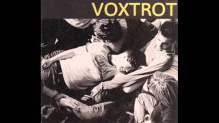 Voxtrot  Raised by Wolves lyrics [upl. by Alisha832]