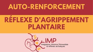 Le réflexe dagrippement plantaire autorenforcement  Intégration Motrice Primordiale IMP [upl. by Adiari]