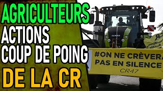 AGRICULTEUR ACTION COUP DE POING DE LA CR [upl. by Addam]