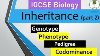 Monohybrid inheritance በአማርኛ Grade 10 Biology Unit 2 Part 5 [upl. by Nagirrek412]