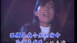 潘美辰精选辑 II VHS 蓝白时代 05 潘美辰 拒绝融化的冰 [upl. by Nealy]