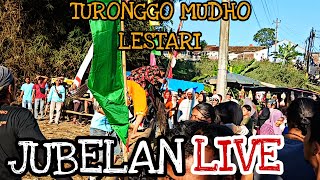 REOG TURONGGO MUDHO LESTARI  PRINGSARI  JUBELAN LIVE  SAMPAI LONCAT KELUAR ARENA [upl. by Andros622]