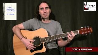 TONOS Y SEMITONOS TEORIA MUSICAL EN GUITARRA  APRENDER MUSICA FACIL  NOTAS MUSICALES VIDEO TCDG [upl. by Nnaxor]