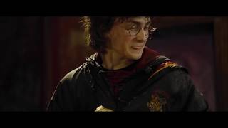 Harry Potter The Golden Egg MEME Wedgie Edition Funny Must Watch [upl. by Llertnek]