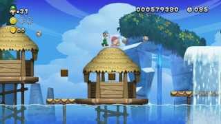 New Super Luigi U  Walkthrough Part 4 [upl. by Alletneuq]