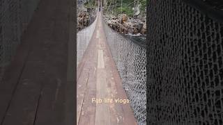 Suspension Bridge tsitsikamma National Park southafrica tsitsikamma shortvideo travelblogger [upl. by Trevorr]